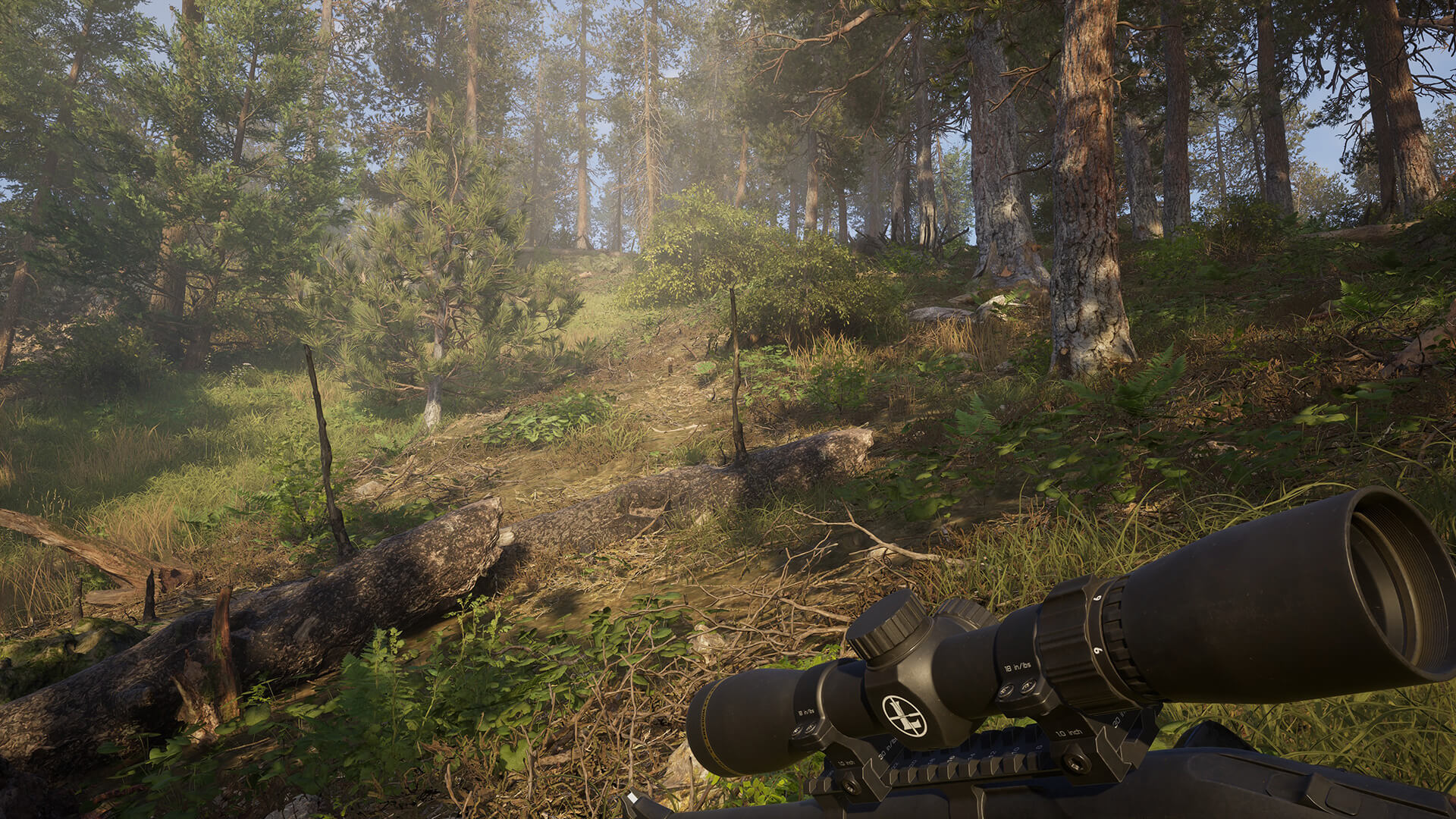 Hunters scouting game in the Canadian wilderness